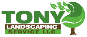 Tony Landscaping-Professional Service